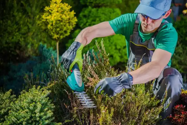 landscaping services Frontenac